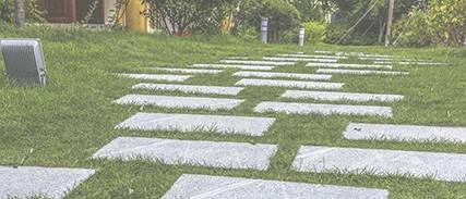 Ścieżka z kostki brukowej w ogrodzie